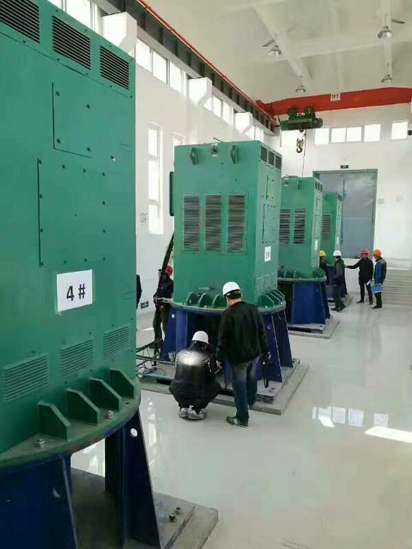 利津某污水处理厂使用我厂的立式高压电机安装现场