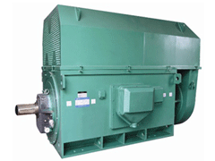 利津Y系列6KV高压电机